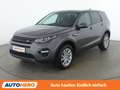 Land Rover Discovery Sport 2.0 Td4 SE AWD Grau - thumbnail 1