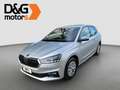 Skoda Fabia Fabia 1.0 MPI 80 CV Selection Argento - thumbnail 1