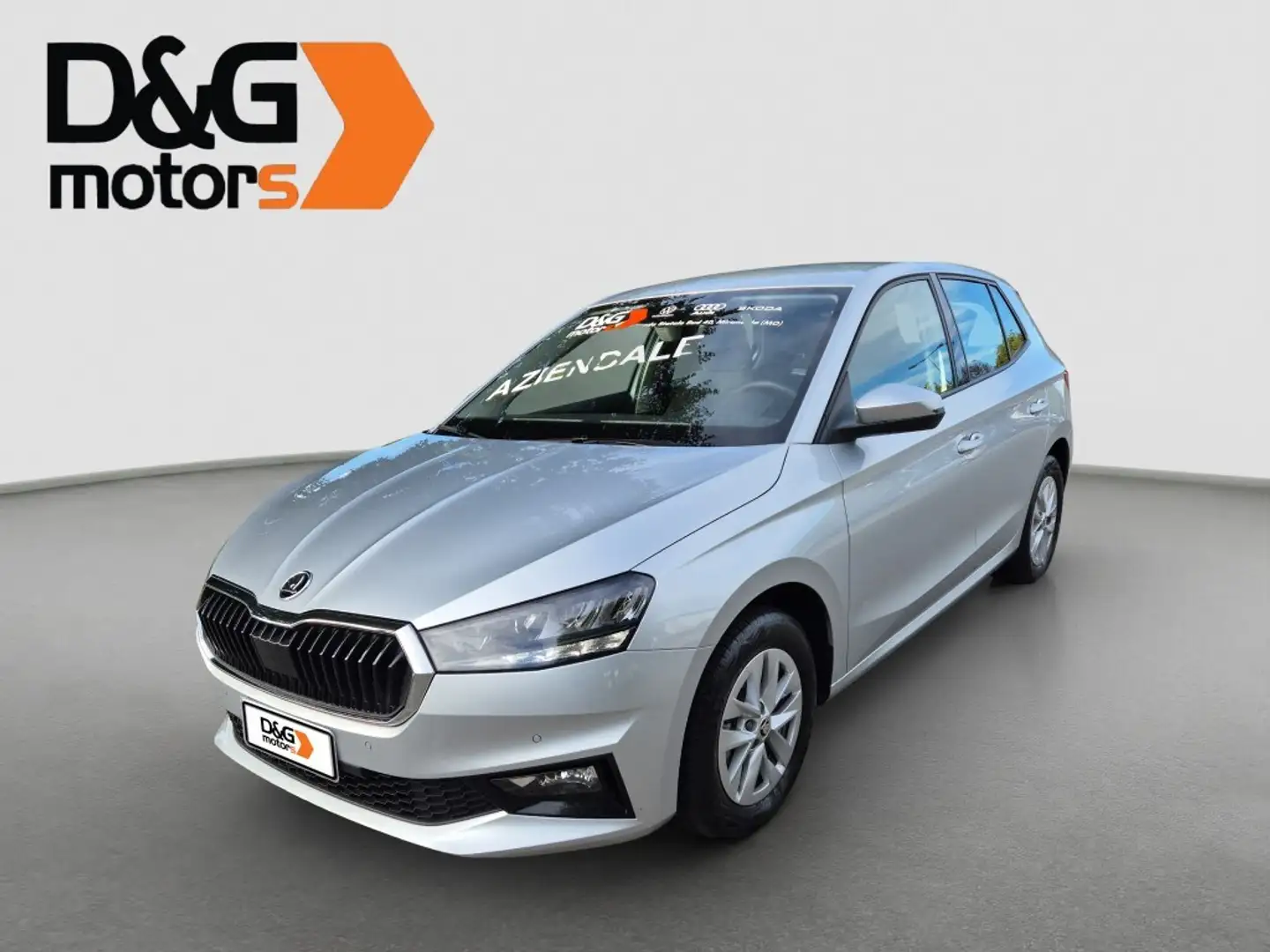 Skoda Fabia Fabia 1.0 MPI 80 CV Selection Argento - 1