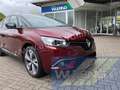 Renault Grand Scenic TCe EDC Intens+ Autom. 7-Sitzer Navi Kamera Piros - thumbnail 5