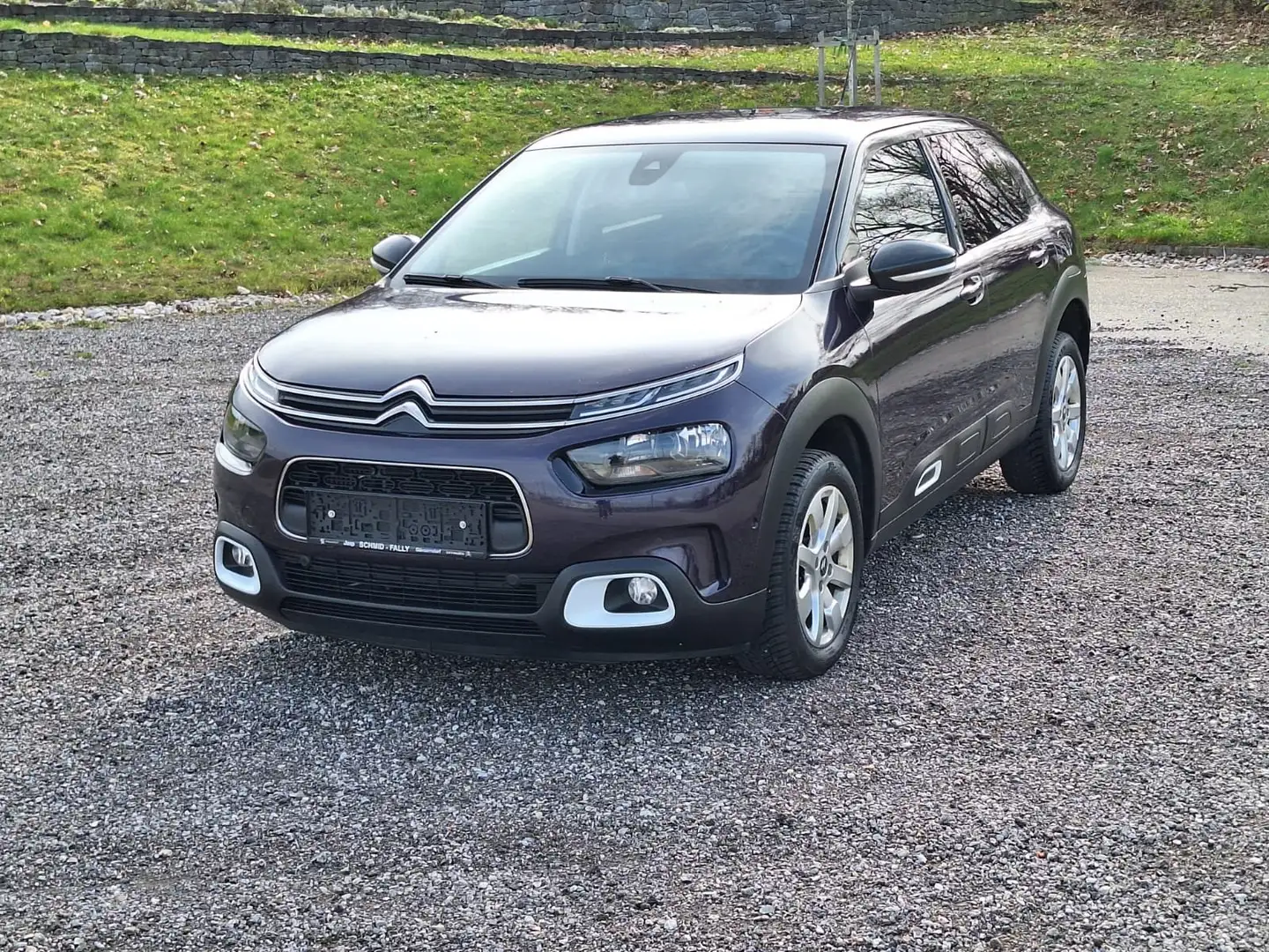 Citroen C4 Cactus C4 Cactus PureTech 110 S - 1