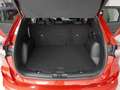Ford Kuga Todoterreno Manual de 5 Puertas Rojo - thumbnail 14