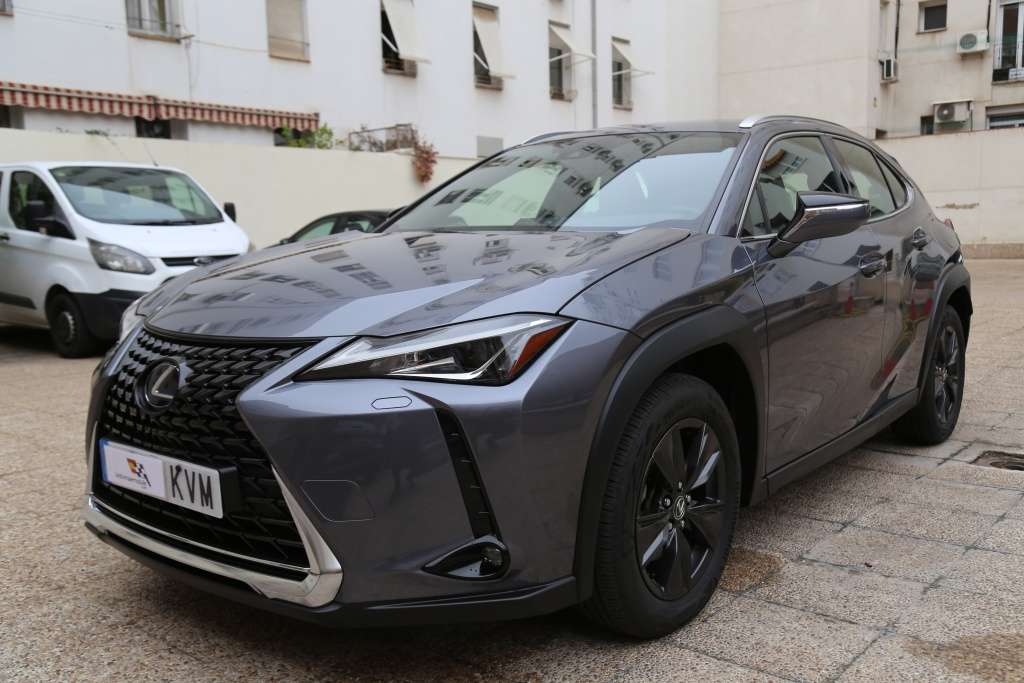 2019 Lexus UX250