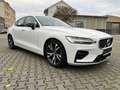 Volvo S60 R Design - NAVI + LED + LEDER + PANO White - thumbnail 1