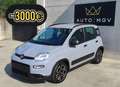 Fiat Panda Panda 1.0 firefly hybrid City Life s&s 70cv 5posti Grigio - thumbnail 1