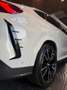 BMW X6 XDrive30d High Executive Blanco - thumbnail 10