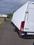 Iveco Daily 35c15 Weiß - thumbnail 4