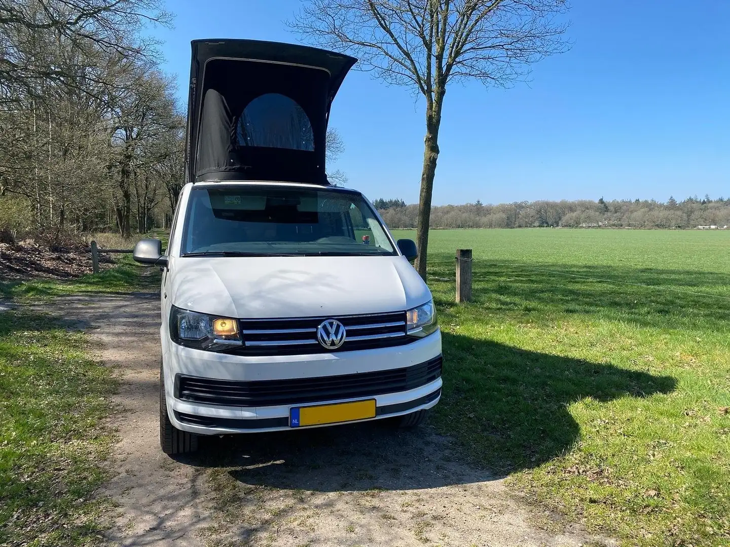 Volkswagen Transporter Transporter 2.0 TDI Foresta 300 Biały - 2