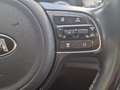 Kia Niro Niro 1.6 gdi hev Style dct my18 Weiß - thumbnail 21