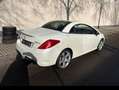 Peugeot 308 308 CC 1.6 16v Tecno Bianco - thumbnail 5