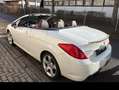 Peugeot 308 308 CC 1.6 16v Tecno Bianco - thumbnail 8