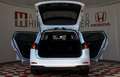Ford Focus Traveller Aut. LED KAMERA ACC LANE Weiß - thumbnail 12