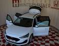 Ford Focus Traveller Aut. LED KAMERA ACC LANE Weiß - thumbnail 3