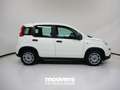 Fiat Panda 1.0 FireFly S&S Hybrid Bianco - thumbnail 4