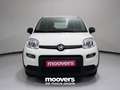 Fiat Panda 1.0 FireFly S&S Hybrid Bianco - thumbnail 5