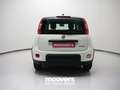 Fiat Panda 1.0 FireFly S&S Hybrid Bianco - thumbnail 3