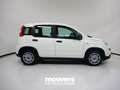 Fiat Panda 1.0 FireFly S&S Hybrid  *PROMO SUPER MOOVE* Blanco - thumbnail 4