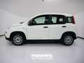 Fiat Panda 1.0 FireFly S&S Hybrid Bianco - thumbnail 2