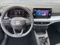 SEAT Ibiza Reference 1.0 TSI Grau - thumbnail 7