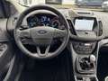 Ford Kuga VIGNALE Scheckheftgepflegt 4 neue Ganzjahresreifen Blanc - thumbnail 13