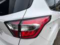Ford Kuga VIGNALE Scheckheftgepflegt 4 neue Ganzjahresreifen Blanc - thumbnail 25