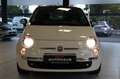 Fiat 500 1.2 8V|PANORAMA|KLIMA|SERVO|BLUE&ME Weiß - thumbnail 8