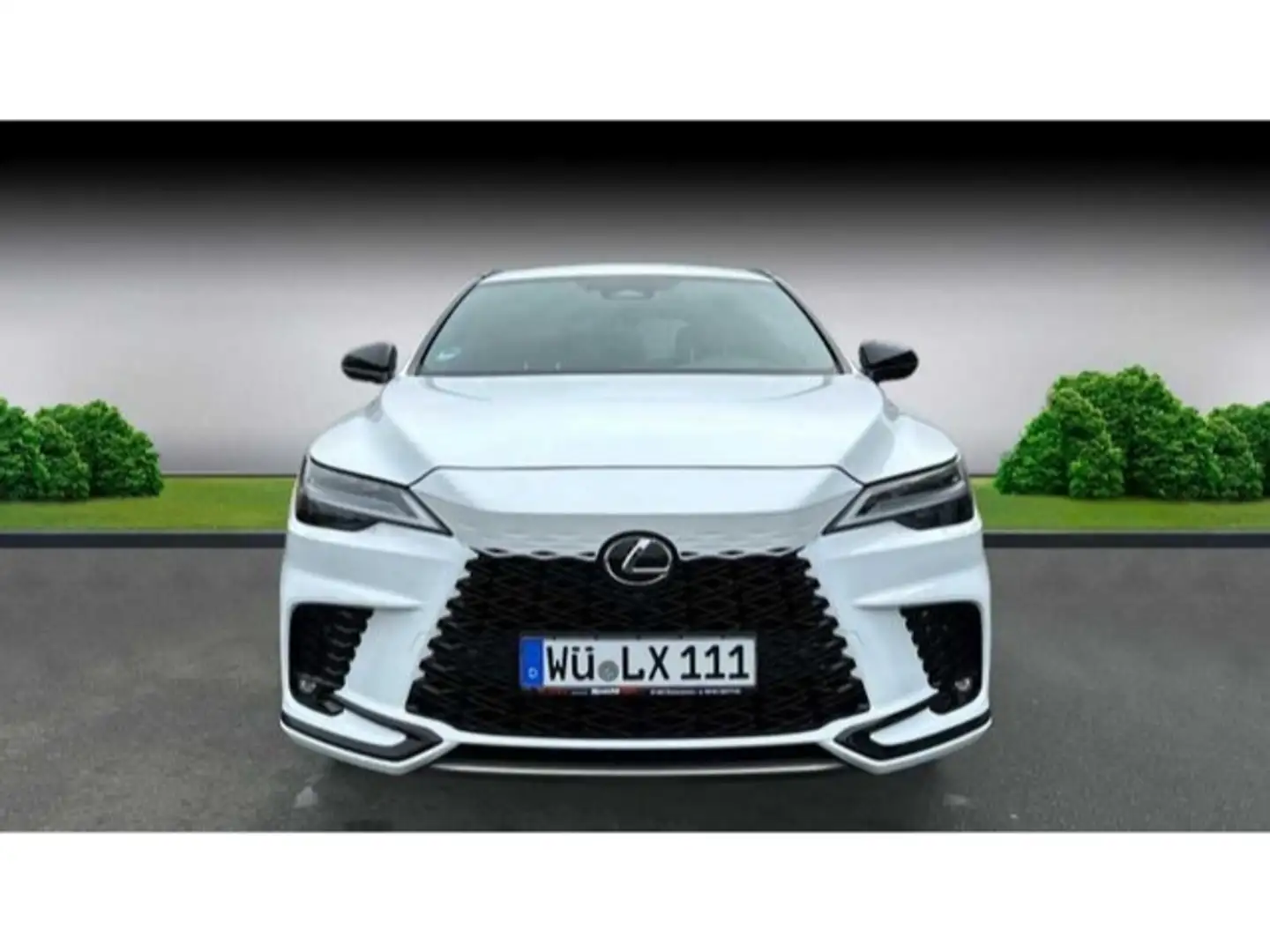 Lexus 2.4 Hybrid F Sport+ Interieur Paket Beyaz - 2