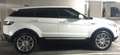 Land Rover Range Rover Evoque SD4 Prestige A Білий - thumbnail 5