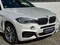 BMW X6 xDrive 40d*M Sport*20 Zoll*H/K*AHK*GSD*ACC* Weiß - thumbnail 5