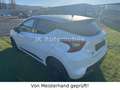 Nissan Micra Acenta Bianco - thumbnail 5