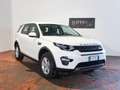 Land Rover Discovery Sport 2.0 TD4 Pure Bianco - thumbnail 1