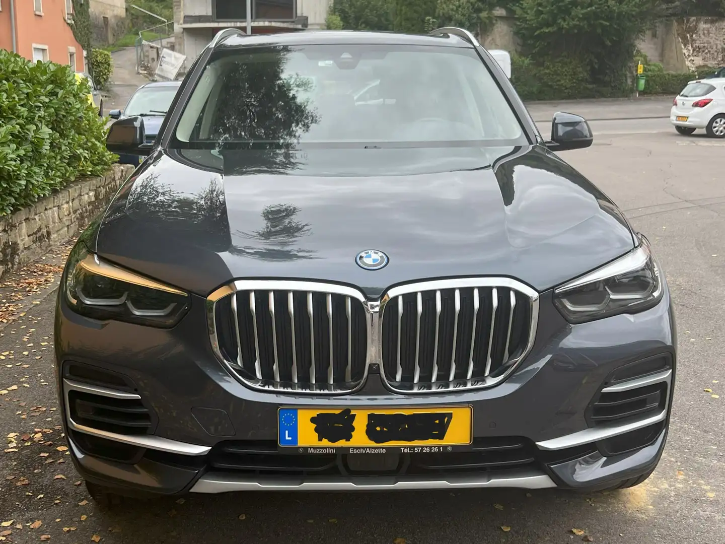 BMW X5 X5 xDrive45e xLine Gris - 2