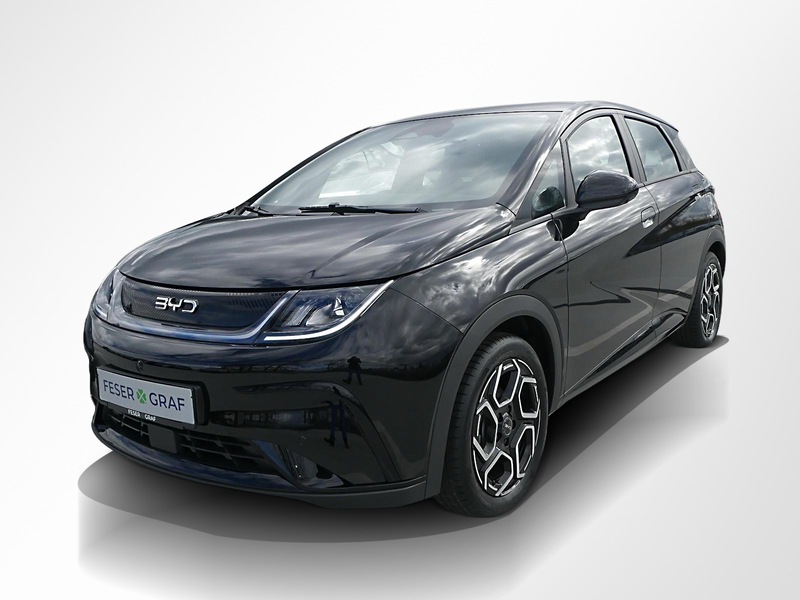 BYD Dolphin 150 kW Comfort 360° ACC LED Navi Sitzh. — photo 10
