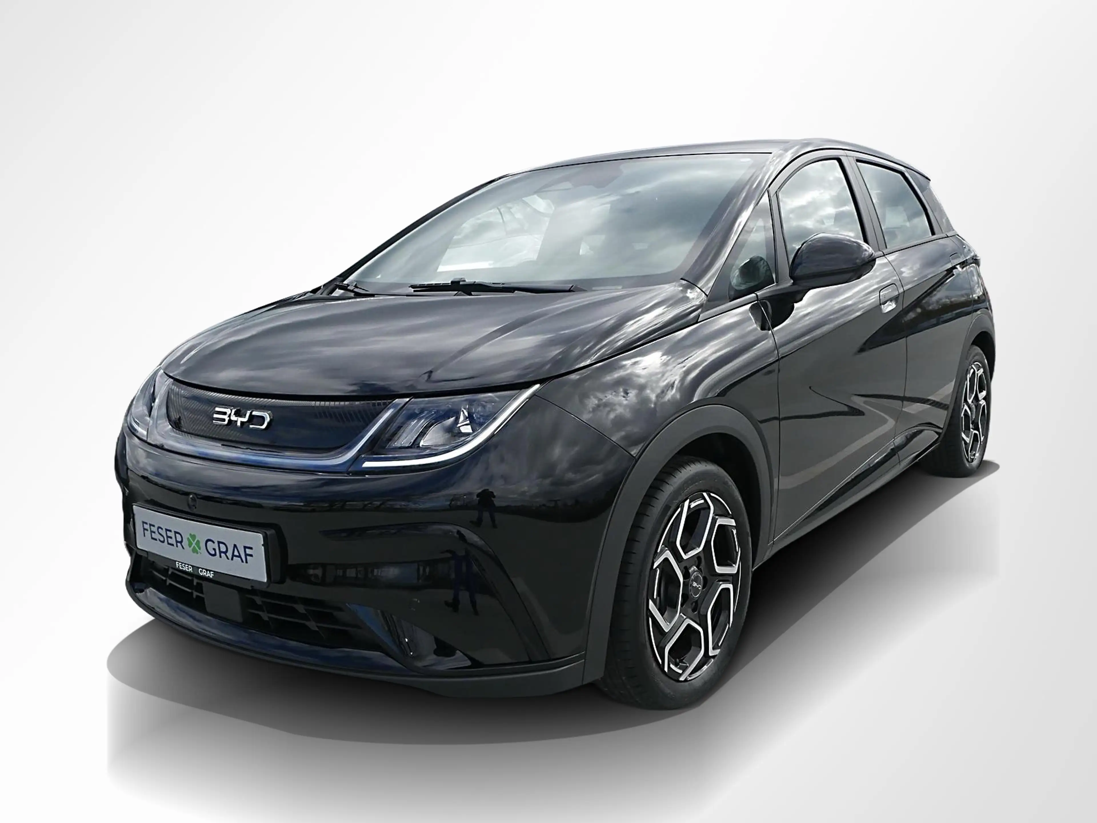 BYD Dolphin 150 kW Comfort 360° ACC LED Navi Sitzh. — photo 10