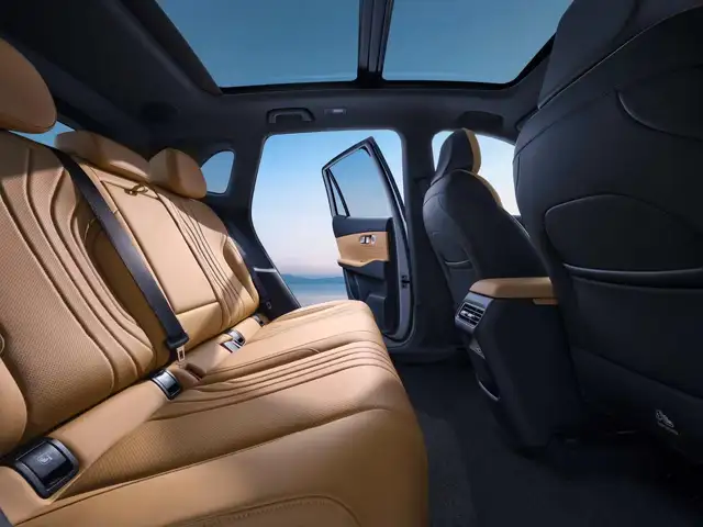 Others Geely view 10