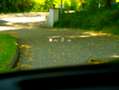 Mercedes-Benz GLE 400 e 4MATIC AMG Line | Pano | Head-up | Burmeister | - thumbnail 26