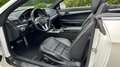 Mercedes-Benz E 220 CDI DPF Cabrio BlueEFFICIENCY 7G-TRONIC Avantgarde Weiß - thumbnail 5