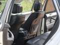BMW X5 xDrive 30dA Blanco - thumbnail 8