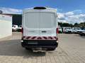 Ford Transit Ford Transit 4WD 4x4/ Allrad/ L2H2/lang+hoch Weiß - thumbnail 4