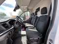 Ford Transit Ford Transit 4WD 4x4/ Allrad/ L2H2/lang+hoch Weiß - thumbnail 9