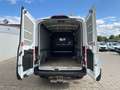 Ford Transit Ford Transit 4WD 4x4/ Allrad/ L2H2/lang+hoch Weiß - thumbnail 6