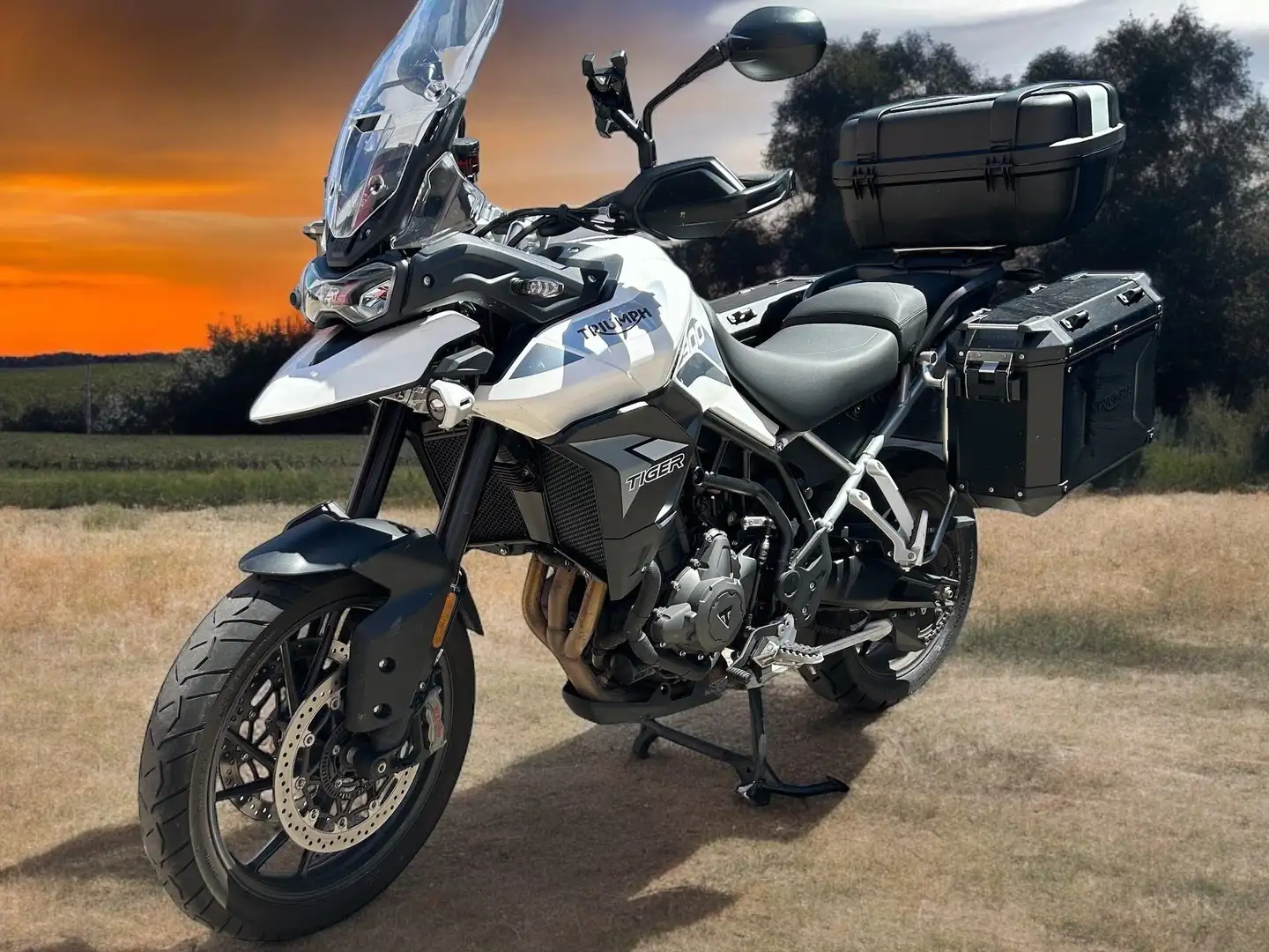 Triumph Tiger 900 GT Pro Alb - 2