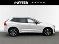 Volvo XC60 B4 Diesel AWD Plus Dark 19'' Allwetter StandHZG AC Weiß - thumbnail 6
