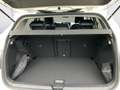 Volkswagen Golf Rabbit mHEV DSG Weiß - thumbnail 16