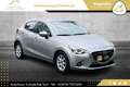 Mazda 2 Mazda2 G115 Revolution Top //1.BESITZ//WENIG-KM... Grau - thumbnail 23