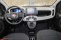 Fiat Panda Pandina MY25-Pandina Cross Schwarz - thumbnail 13