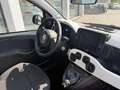 Fiat Panda Pandina 1.0 firefly hybrid s KM 5.000 PARI NUOVO Nero - thumbnail 5
