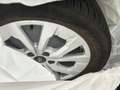 Ford Tourneo Ford Grand Tourneo Connect Active AWD Schwarz - thumbnail 18