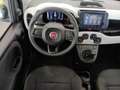 Fiat Panda Panda Cross 1.0 FireFly S&S Hybrid Schwarz - thumbnail 10