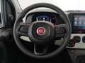 Fiat Panda Panda Cross 1.0 FireFly S&S Hybrid Schwarz - thumbnail 14